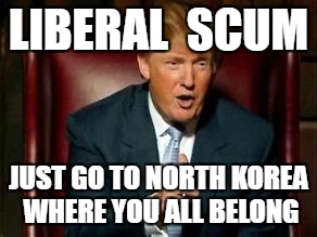 Donald Trump | LIBERAL  SCUM; JUST GO TO NORTH KOREA WHERE YOU ALL BELONG | image tagged in donald trump | made w/ Imgflip meme maker