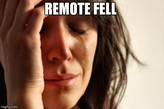First World Problems | REMOTE FELL | image tagged in memes,first world problems | made w/ Imgflip meme maker