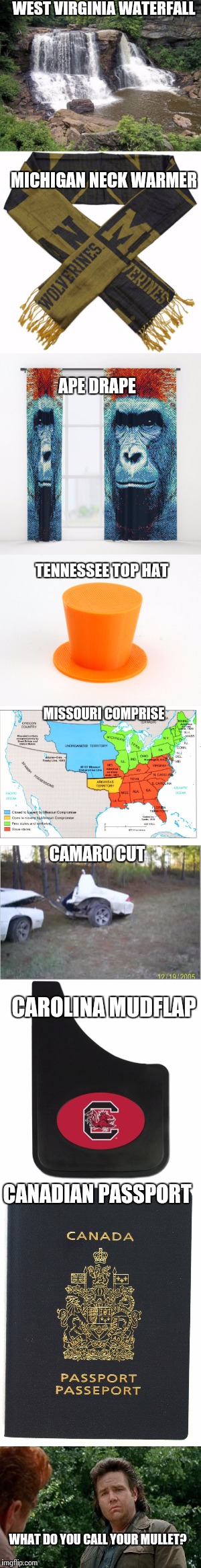 Name game | WEST VIRGINIA WATERFALL; MICHIGAN NECK WARMER; APE DRAPE; TENNESSEE TOP HAT; MISSOURI COMPRISE; CAMARO CUT; CAROLINA MUDFLAP; CANADIAN PASSPORT; WHAT DO YOU CALL YOUR MULLET? | image tagged in mullets | made w/ Imgflip meme maker