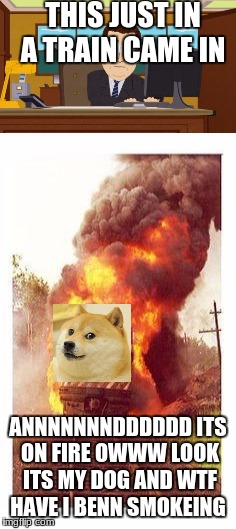 meet my dog fire train thing | THIS JUST IN A TRAIN CAME IN; ANNNNNNNDDDDDD ITS ON FIRE OWWW LOOK ITS MY DOG AND WTF HAVE I BENN SMOKEING | image tagged in train,dog,fire | made w/ Imgflip meme maker