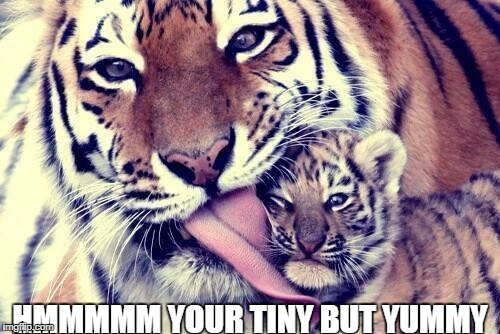HMMMMM YOUR TINY BUT YUMMY | image tagged in o some food | made w/ Imgflip meme maker