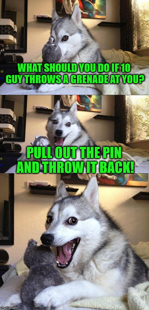 He'd never make the grade in the army | WHAT SHOULD YOU DO IF 10 GUY THROWS A GRENADE AT YOU? PULL OUT THE PIN AND THROW IT BACK! | image tagged in memes,bad pun dog,10 guy,grenade,army | made w/ Imgflip meme maker