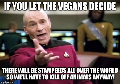 Picard Wtf Meme | IF YOU LET THE VEGANS DECIDE; THERE WILL BE STAMPEEDS ALL OVER THE WORLD SO WE'LL HAVE TO KILL OFF ANIMALS ANYWAY! | image tagged in memes,picard wtf | made w/ Imgflip meme maker
