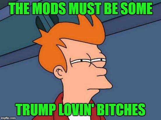 Futurama Fry Meme | THE MODS MUST BE SOME TRUMP LOVIN' B**CHES | image tagged in memes,futurama fry | made w/ Imgflip meme maker