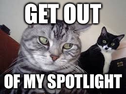 Spotlight fighters | GET OUT; OF MY SPOTLIGHT | image tagged in ha | made w/ Imgflip meme maker