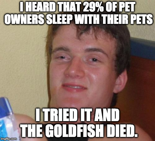 It had some sick dance moves though. | I HEARD THAT 29% OF PET OWNERS SLEEP WITH THEIR PETS; I TRIED IT AND THE GOLDFISH DIED. | image tagged in memes,10 guy,goldfish,pets,iwanttobebacon | made w/ Imgflip meme maker