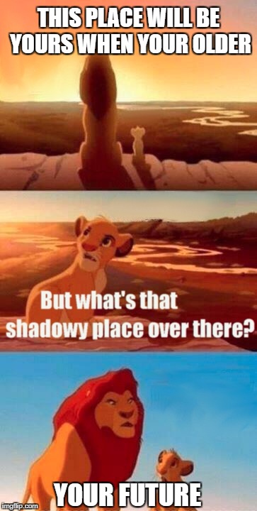 Simba Shadowy Place | THIS PLACE WILL BE YOURS WHEN YOUR OLDER; YOUR FUTURE | image tagged in memes,simba shadowy place | made w/ Imgflip meme maker