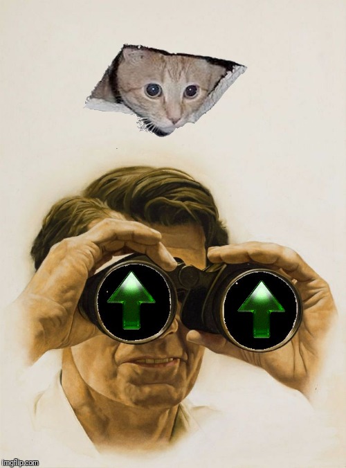 Pulp Art blank binoculars | image tagged in pulp art blank binoculars | made w/ Imgflip meme maker