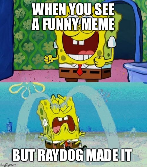 spongebob happy and sad | WHEN YOU SEE A FUNNY MEME; BUT RAYDOG MADE IT | image tagged in spongebob happy and sad | made w/ Imgflip meme maker