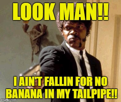 Say That Again I Dare You Meme | LOOK MAN!! I AIN'T FALLIN FOR NO BANANA IN MY TAILPIPE!! | image tagged in memes,say that again i dare you | made w/ Imgflip meme maker