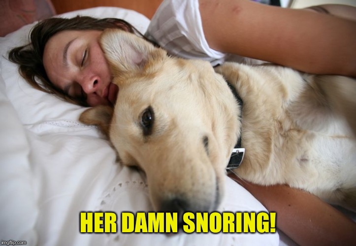 HER DAMN SNORING! | made w/ Imgflip meme maker