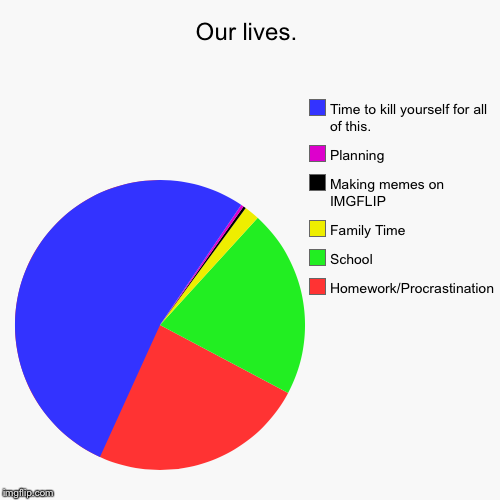 Our lives in a nutshell. | image tagged in funny,pie charts,life,family,school,imgflip | made w/ Imgflip chart maker