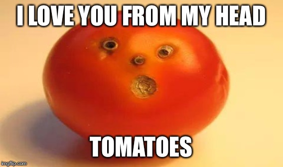 I LOVE YOU FROM MY HEAD TOMATOES | made w/ Imgflip meme maker