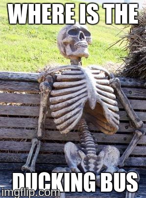 Waiting Skeleton | WHERE IS THE; DUCKING BUS | image tagged in memes,waiting skeleton | made w/ Imgflip meme maker
