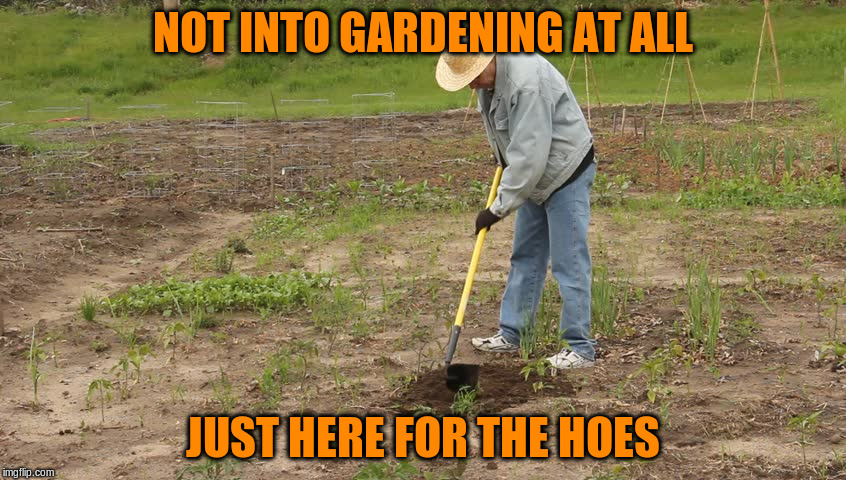 NOT INTO GARDENING AT ALL JUST HERE FOR THE HOES | made w/ Imgflip meme maker