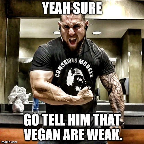 Who say protein? | YEAH SURE; GO TELL HIM THAT VEGAN ARE WEAK. | image tagged in funny memes,vegan,vegan4life,memes | made w/ Imgflip meme maker