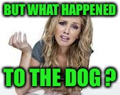 BUT WHAT HAPPENED TO THE DOG ? | made w/ Imgflip meme maker