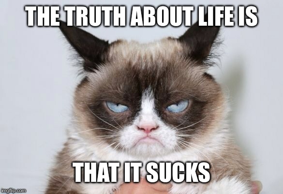 THE TRUTH ABOUT LIFE IS; THAT IT SUCKS | image tagged in grumpy cat | made w/ Imgflip meme maker