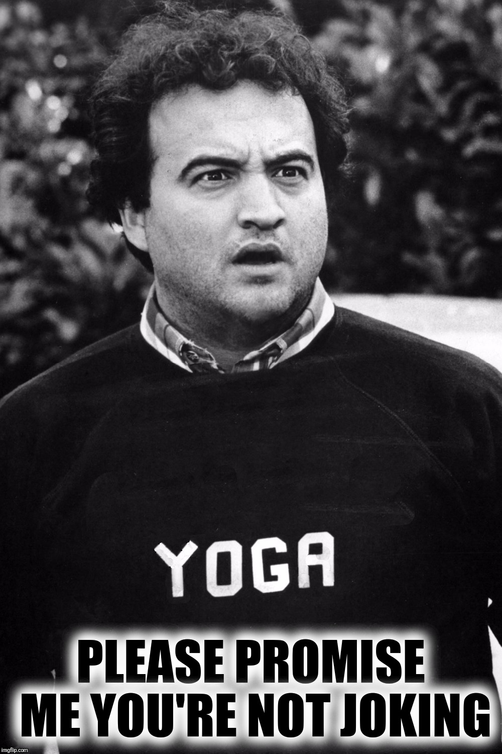 Animal House Yoga | PLEASE PROMISE ME YOU'RE NOT JOKING | image tagged in animal house yoga | made w/ Imgflip meme maker