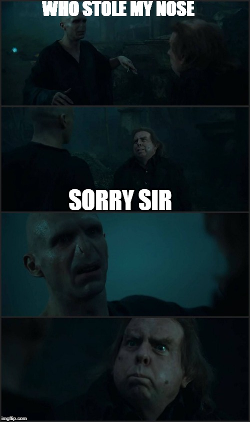 Voldemort & Pettigrew | WHO STOLE MY NOSE; SORRY SIR | image tagged in voldemort  pettigrew | made w/ Imgflip meme maker