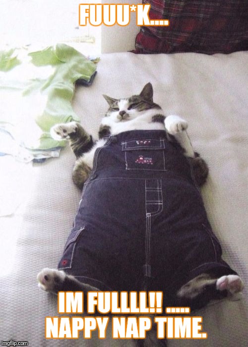 Fat Cat | FUUU*K.... IM FULLLL!! ..... NAPPY NAP TIME. | image tagged in memes,fat cat | made w/ Imgflip meme maker