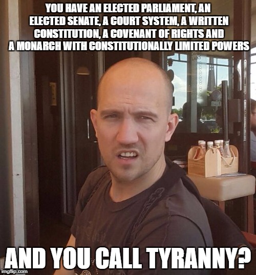 most sceptical | YOU HAVE AN ELECTED PARLIAMENT, AN ELECTED SENATE, A COURT SYSTEM, A WRITTEN CONSTITUTION, A COVENANT OF RIGHTS AND A MONARCH WITH CONSTITUTIONALLY LIMITED POWERS; AND YOU CALL TYRANNY? | image tagged in most sceptical | made w/ Imgflip meme maker