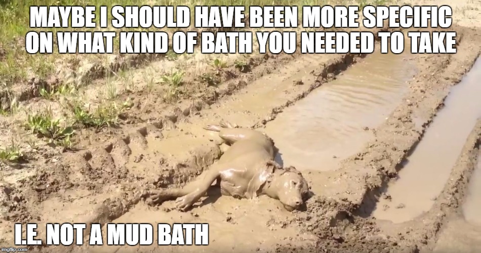 Dog Mud Bath | MAYBE I SHOULD HAVE BEEN MORE SPECIFIC ON WHAT KIND OF BATH YOU NEEDED TO TAKE; I.E. NOT A MUD BATH | image tagged in memes,dog,mud bath | made w/ Imgflip meme maker