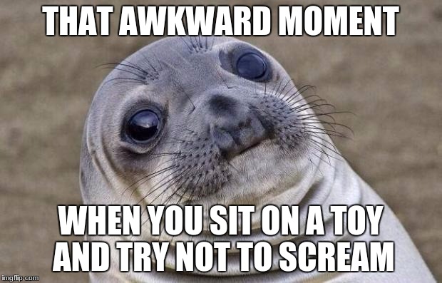 Awkward Moment Sealion Meme | THAT AWKWARD MOMENT; WHEN YOU SIT ON A TOY AND TRY NOT TO SCREAM | image tagged in memes,awkward moment sealion | made w/ Imgflip meme maker