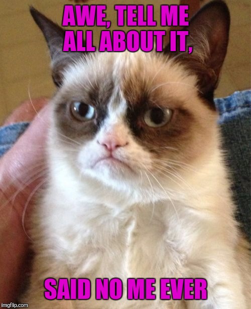 Grumpy Cat Meme | AWE, TELL ME ALL ABOUT IT, SAID NO ME EVER | image tagged in memes,grumpy cat | made w/ Imgflip meme maker
