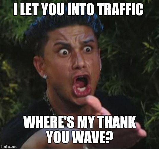 DJ Pauly D | I LET YOU INTO TRAFFIC; WHERE'S MY THANK YOU WAVE? | image tagged in memes,dj pauly d | made w/ Imgflip meme maker