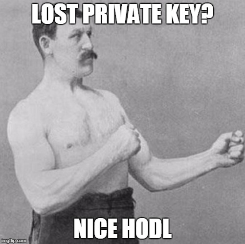 over manly man | LOST PRIVATE KEY? NICE HODL | image tagged in over manly man | made w/ Imgflip meme maker