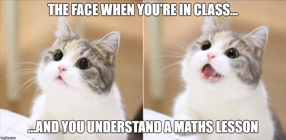 THE FACE WHEN YOU'RE IN CLASS... ...AND YOU UNDERSTAND A MATHS LESSON | made w/ Imgflip meme maker