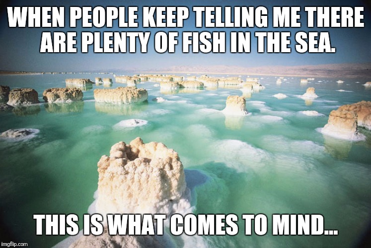 Dead Sea | WHEN PEOPLE KEEP TELLING ME THERE ARE PLENTY OF FISH IN THE SEA. THIS IS WHAT COMES TO MIND... | image tagged in dead sea | made w/ Imgflip meme maker