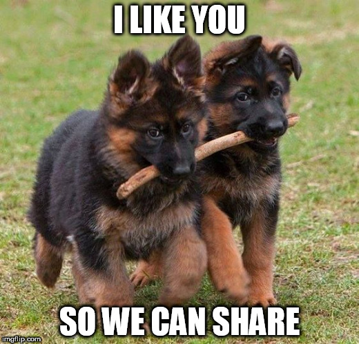 I LIKE YOU; SO WE CAN SHARE | image tagged in sharing | made w/ Imgflip meme maker