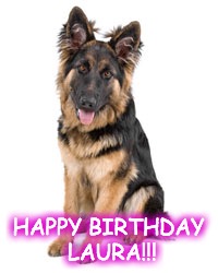 HAPPY BIRTHDAY LAURA!!! | image tagged in long hair gsd birthday | made w/ Imgflip meme maker