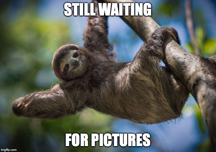 STILL WAITING; FOR PICTURES | made w/ Imgflip meme maker
