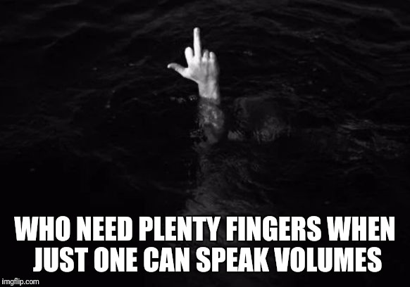 Middle finger | WHO NEED PLENTY FINGERS WHEN JUST ONE CAN SPEAK VOLUMES | image tagged in middle finger | made w/ Imgflip meme maker