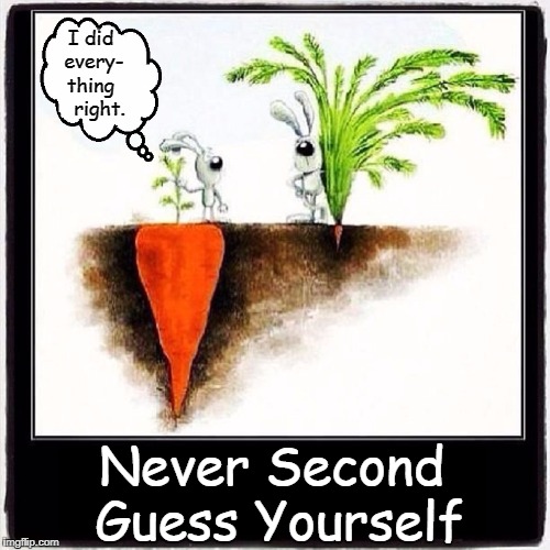 If You Did Everything Right, Probably You Are! | I did every- thing    right. Never Second Guess Yourself | image tagged in vince vance,confidence,bunny grows big carrot,self doubt,doing the right things,success | made w/ Imgflip meme maker