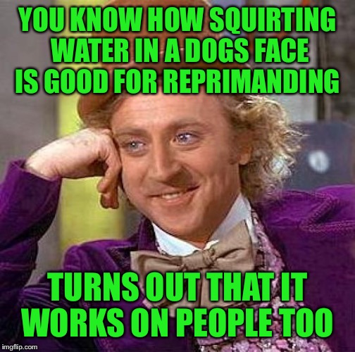 So good to know  | YOU KNOW HOW SQUIRTING WATER IN A DOGS FACE IS GOOD FOR REPRIMANDING; TURNS OUT THAT IT WORKS ON PEOPLE TOO | image tagged in memes,creepy condescending wonka | made w/ Imgflip meme maker