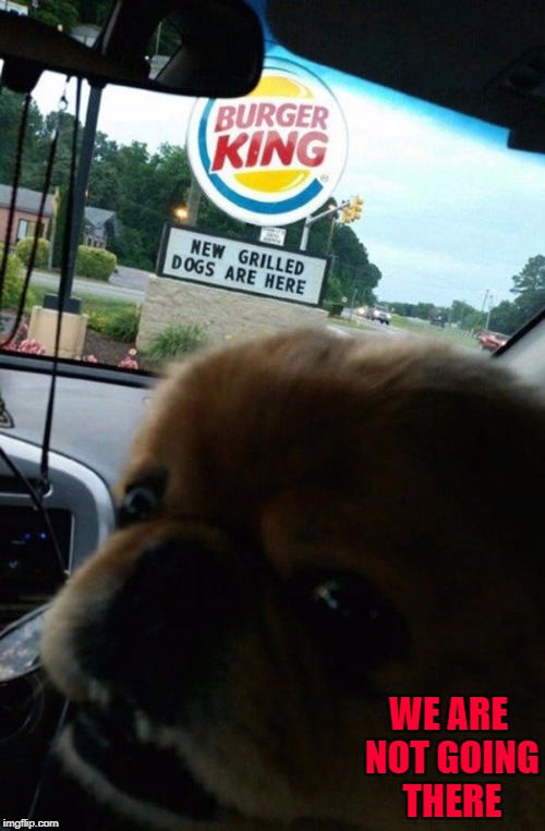 Might be time to try a Grilled Dog... | WE ARE NOT GOING THERE | image tagged in burger king,memes,dogs,animals,funny,grilled dogs | made w/ Imgflip meme maker