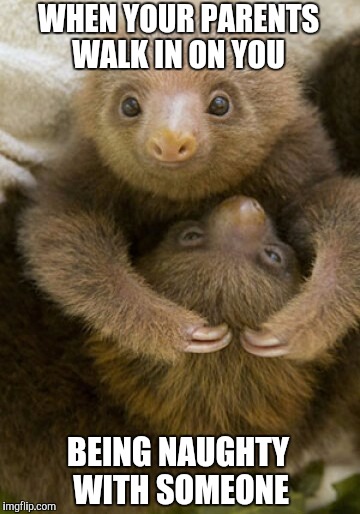 That awkward moment...lol  | WHEN YOUR PARENTS WALK IN ON YOU; BEING NAUGHTY WITH SOMEONE | image tagged in funny animals,awkward moment,jbmemegeek,sloths | made w/ Imgflip meme maker