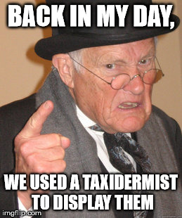 Back In My Day Meme | BACK IN MY DAY, WE USED A TAXIDERMIST TO DISPLAY THEM | image tagged in memes,back in my day | made w/ Imgflip meme maker