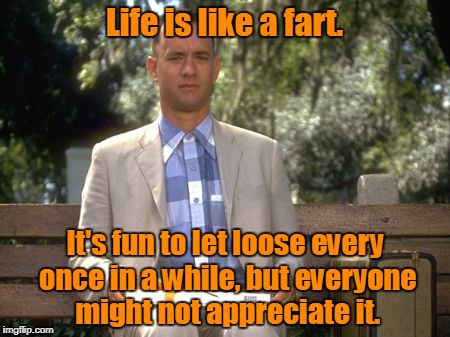 Forrest Gump | Life is like a fart. It's fun to let loose every once in a while, but everyone might not appreciate it. | image tagged in forrest gump | made w/ Imgflip meme maker
