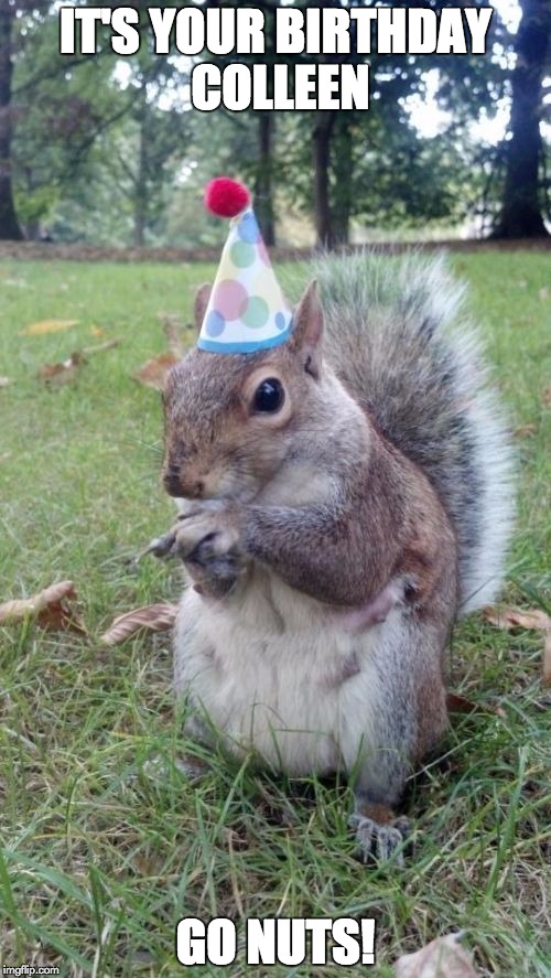 Super Birthday Squirrel | IT'S YOUR BIRTHDAY COLLEEN; GO NUTS! | image tagged in memes,super birthday squirrel | made w/ Imgflip meme maker