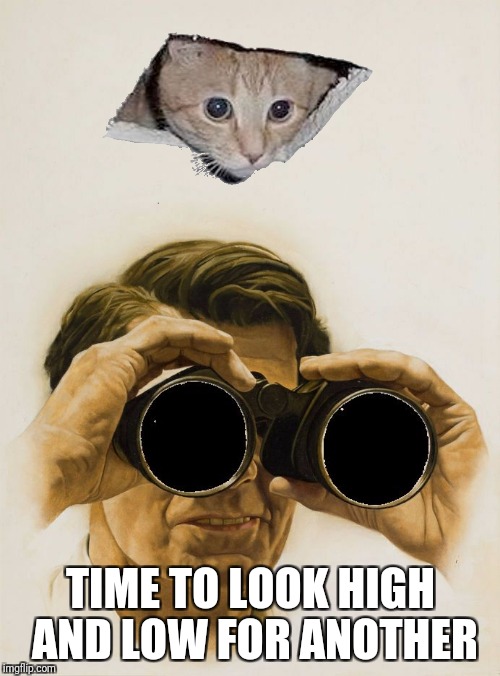 Pulp Art blank binoculars | TIME TO LOOK HIGH AND LOW FOR ANOTHER | image tagged in pulp art blank binoculars | made w/ Imgflip meme maker