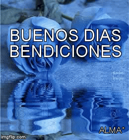 Alma* | ALMA* | image tagged in gifs | made w/ Imgflip video-to-gif maker