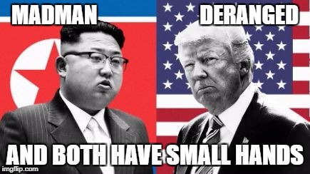MADMAN                        DERANGED; AND BOTH HAVE SMALL HANDS | image tagged in kim jong un | made w/ Imgflip meme maker