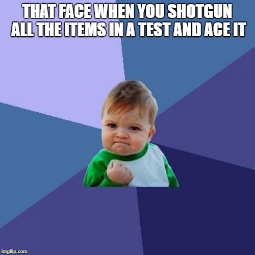 Success Kid Meme | THAT FACE WHEN YOU SHOTGUN ALL THE ITEMS IN A TEST AND ACE IT | image tagged in memes,success kid | made w/ Imgflip meme maker