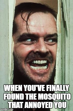 Here's Johnny Meme | WHEN YOU'VE FINALLY FOUND THE MOSQUITO THAT ANNOYED YOU | image tagged in memes,heres johnny | made w/ Imgflip meme maker