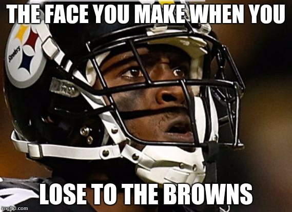 THE FACE YOU MAKE WHEN YOU; LOSE TO THE BROWNS | image tagged in brown | made w/ Imgflip meme maker